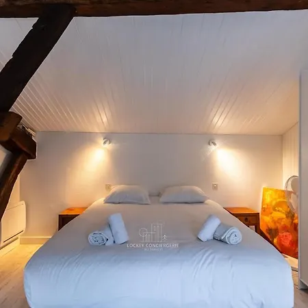 Duplex D'exception Et Charme Au Centre Historique Apartamento