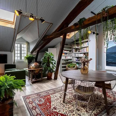 Duplex D'exception Et Charme Au Centre Historique